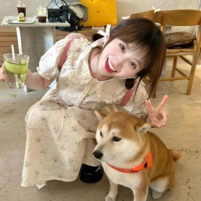 误入神秘岛
